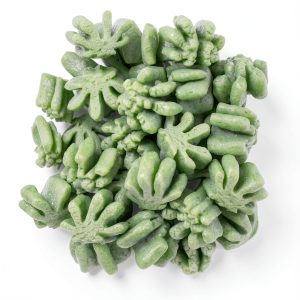 Green Leaf Packing Peanuts MagicWater Supply Compostable AntiStatic-0