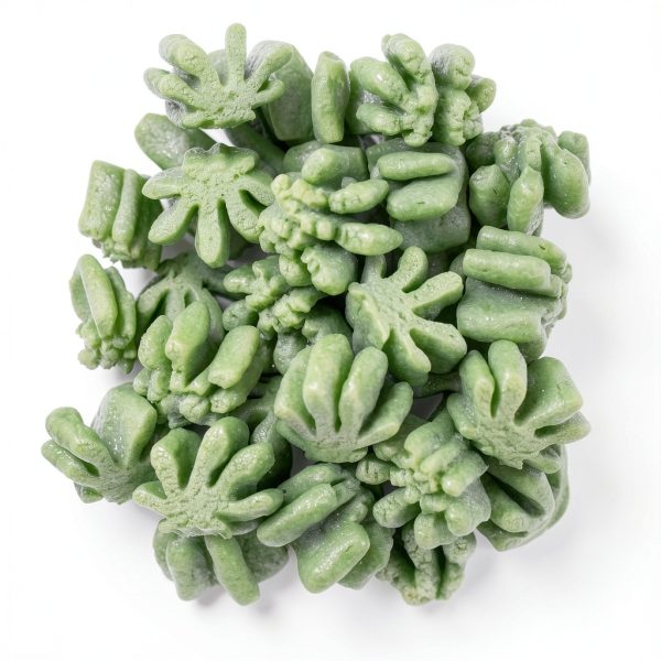 Green Leaf Packing Peanuts MagicWater Supply Compostable AntiStatic-0